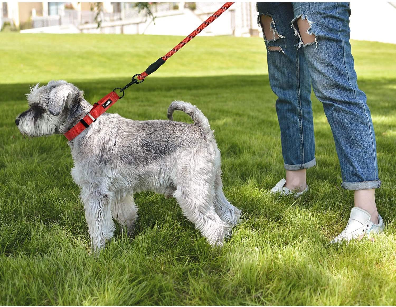 Martingale Dog Collar with Quick Release Buckle Reflective Dog Training Collars for Small Medium Large Dogs